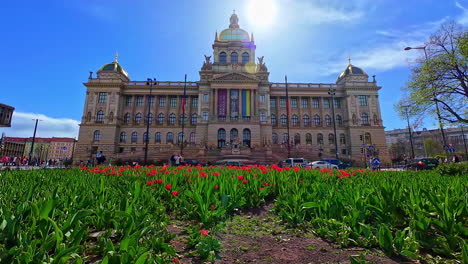 Tulpen-Vor-Dem-Nationalmuseum-Vom-Wenzelsplatz-In-Prag,-Tschechische-Republik