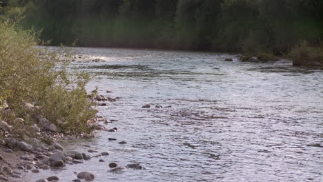 Malerischer-Fluss-In-Der-Abendsonne,-Steine-Und-Vegetation
