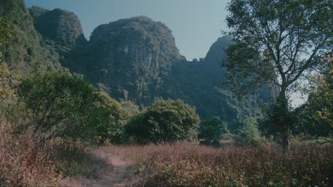 Cat-Ba-National-Park’s-Lush-Pathway-and-Rugged-Hills