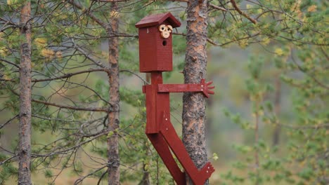 Ein-Lustiges,-Kreativ-Gestaltetes-Vogelhäuschen-Auf-Der-Kiefer-Im-Norwegischen-Wald
