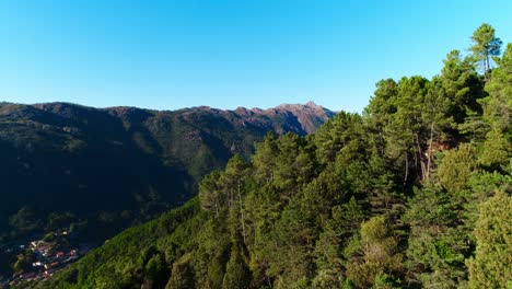 Volando-Sobre-árboles-Verdes-En-Las-Montañas-Con-El-Cielo-Azul-De-Fondo