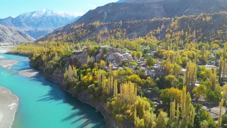 Vista-Aérea-De-Los-árboles-Otoñales-En-El-Valle-De-Skardu-Junto-Al-Río-Turquesa-Del-Indo