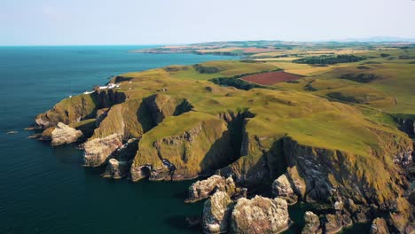 Vistas-Elevadas-De-Las-Maravillas-Naturales-Escocesas-De-Majestuosos-Acantilados-Y-El-Faro-De-St-Abbs,-Escocia,-Reino-Unido