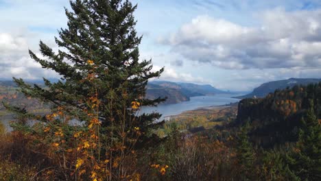 Toma-De-Drones-De-La-Garganta-Del-Río-Columbia-En-Oregon,-Panorámica-De-Un-Pino-Para-Revelar-Una-Hermosa-Escena-Del-Río-Con-Un-Espectacular-Cielo-Nublado-En-El-Otoño.