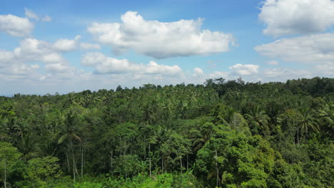 Erheben-Sie-Sich-über-Den-üppigen-Tropischen-Wald-An-Den-Unteren-Hängen-Des-Kawah-Ijen-Indonesien