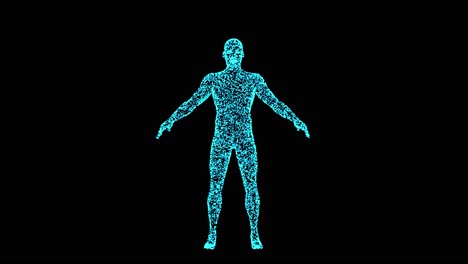 Holograma-De-Cuerpo-Masculino-3d-En-Animación-3d-De-Pose,-Zoom-De-Cámara