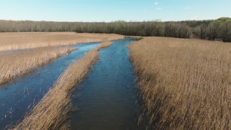 Bach-Durch-Sumpf-Im-Bell-Slough-State-Wildlife-Management-Area,-Arkansas,-Usa