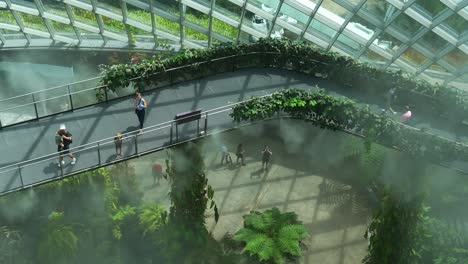 Top-down-view-of-aerial-walkway-at-the-cloud-forest-conservatory-with-temperature-control-and-mist-spraying-to-keep-the-environment-moist,-Gardens-by-the-bay-the-top-tourist-attraction-in-Singapore