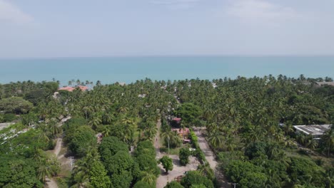 Palomino's-palm-lined-pathway-to-the-sea,-Colombia---aerial