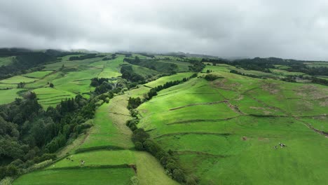 Lush-green-fields-of-mountainous-landscape-on-overcast-day,-São-Miguel