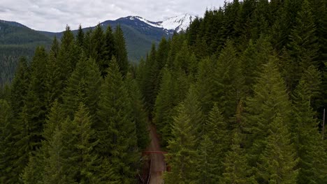Luftaufnahme-über-Immergrünem-Wald-Mit-Schneebedeckten-Bergen-Im-Hintergrund-In-Snoqualmie,-Bundesstaat-Washington