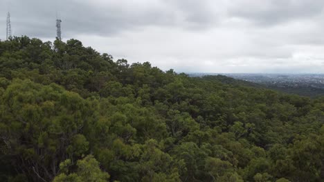 Drone-descending-into-bushland-showing-Tv-towers-and-a-large-city-in-the-background