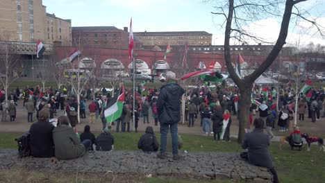 Ein-Mann,-Der-Bei-Einer-Kundgebung-Seine-Palästinensische-Flagge-Hisst