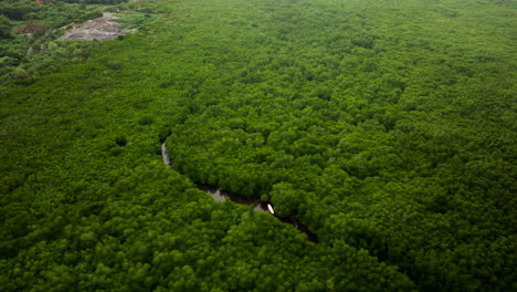 Üppiger-Mangrovenwald-Auf-Der-Insel-Nusa-Lembongan-In-Bali,-Indonesien
