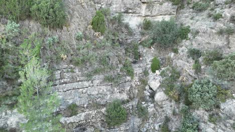 Three-young-iberian-ibex-running-acreoss-a-mountainous-lansdcape-in-Castellon,-SE-Spain