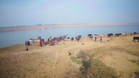 Villagers-with-their-domestic-animals-like-buffaloes-boarding-traditional-boats-on-the-ghat-or-shore-of-Chambal-River-of-Morena