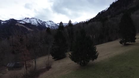 Drone-fly-above-field-towards-pine-forest-with-snow-capped-mountains-in-background-on-a-cloudy-day-in-Vorarlberg,-Austria