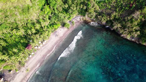 Palm-Trees-And-Forest-On-Coast-Of-Gamat-Bay---Snorkeling-Destination-In-Nusa-Penida,-Bali,-Indonesia