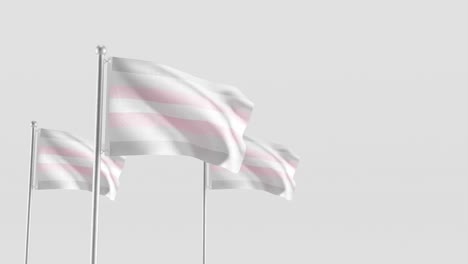 Demigirl-Pride-Flag-3D-render-on-white-background