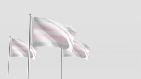 Bandera-Del-Orgullo-Demigirl-Render-3d-Sobre-Fondo-Blanco