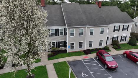 Blooming-Plum-Trees-in-american-suburb-neighborhood-at-spring