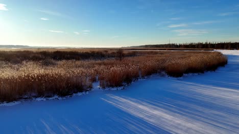 Aerial-field-of-tall-grass-near-river-and-lake-with-snow-on-the-ground