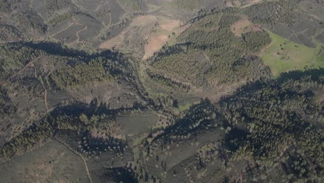 Aerial-view-of-the-green-landscape-of-Proença-a-Nova,-Portugal