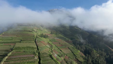 Monte-Icónico-Sumergido-De-Indonesia-Durante-La-Niebla,-Vista-Aérea