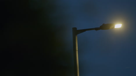 Street-lamp-in-low-evening-light-with-blurred-bush-in-foreground