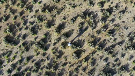 Vogelperspektive-Luftaufnahme-über-Einem-Astronauten,-Der-Durch-Die-Sonnige-Wüstennatur-Läuft