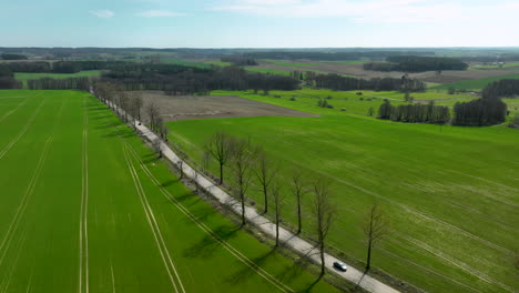 Car-on-rural-road-surrounded-by-green-farm-fields-during-sunny-day-in-spring