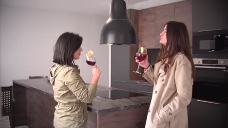 Two-women,-couple-of-friends-drink-wine-indoor-at-kitchen-home-toasting-cheering-with-glass-smiling,-speaking-and-laughing