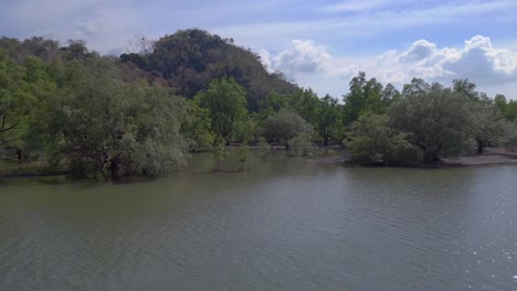 Mangroven-Fluss-Ansicht-üppiges-Grün-Bewölkter-Himmel