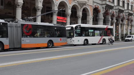 Zwei-Busse-Warten-An-Einer-Bushaltestelle-Am-Straßenrand-Der-Stadt,-An-Der-Ein-Radfahrer-Vorbeifährt