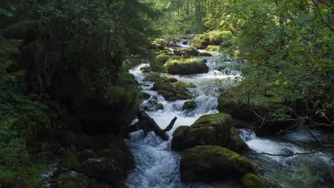 4k-peaceful-Alpine-stream-through-forest-in-Upper-Austria,-wide-shot,-summer