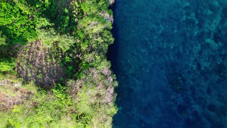 Flying-Above-Forested-Island-In-The-Ocean-In-Nusa-Penida,-Bali,-Indonesia