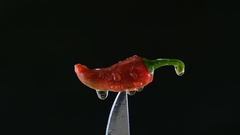 Fresh-ripped-red-hot-chili-pepper-with-clear-water-drops-up-close
