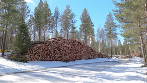 Dolly-shot-toward-massive-pile-of-felled-tree-logs-on-snow-for-timber-industry