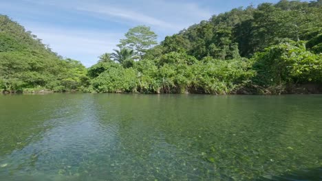 Tropischer-Regenwald-In-Wasai-Am-Ufer-Des-Kali-Biru-In-Raja-Ampat,-Nationalreservat,-Indonesien