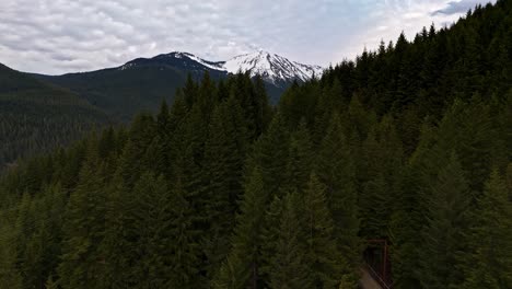 Beautiful-view-of-evergreen-forest-showing-snowcapped-mountain-in-the-background-in-Snoqualmie,-Washington-State