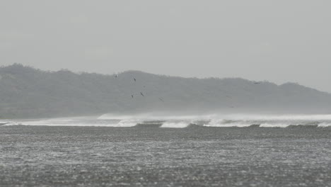 Toma-De-ángulo-Bajo-De-Zarapitos-Volando-Sobre-Las-Olas-Rompiendo-En-La-Costa-De-La-Isla-De-Canas.