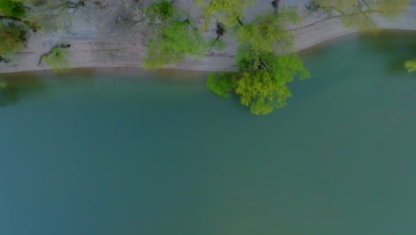 Clean-azure-water-riverside-at-countryside-aerial-top-down-view-with-green-trees-at-side