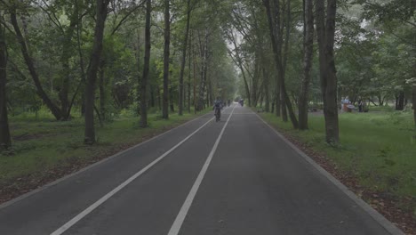 4K-50FSP,-woman-riding-a-bicycle-on-a-road-extending-into-a-forest,-a-private-bicycle-path,-surrounded-by-dense-green-trees,-summer