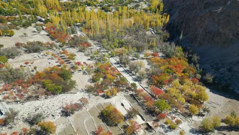 -Autumnal-Trees-In-Skardu-Valley-Landscape