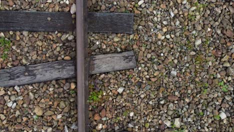 Rails-and-Gravel:-A-Zenith-Journey,
Pitch-forward