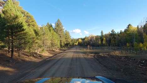 Meeting-lonely-bicycle-rider-on-gravel-road-in-national-forest,-car-drive-POV