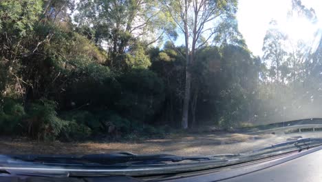 FPV-driver-point-of-view-of-car-driving-along-rural-roads-of-West-Tasmania-in-Australia