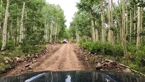 Meeting-Ford-pick-up-truck-on-narrow-gravel-forest-road-with-rocks-on-sides,-driving-POV-view