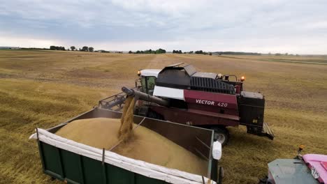 Vista-Aérea-De-La-Cosechadora-Transfiriendo-Trigo-Al-Carro-Con-Tractor,-Disparo-De-Drones