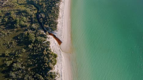 Botanical-Creek-At-Cooks-Beach-With-Turquoise-Blue-Water-In-Freycinet,-Tasmania,-Australia